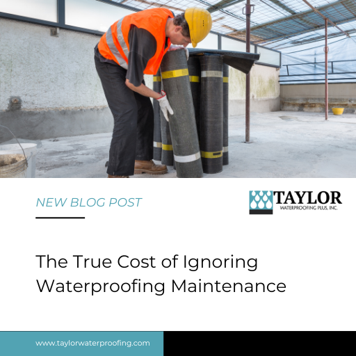 The True Cost of Ignoring Waterproofing Maintenance